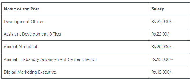 BPNL Recruitment Salary Bifurcation