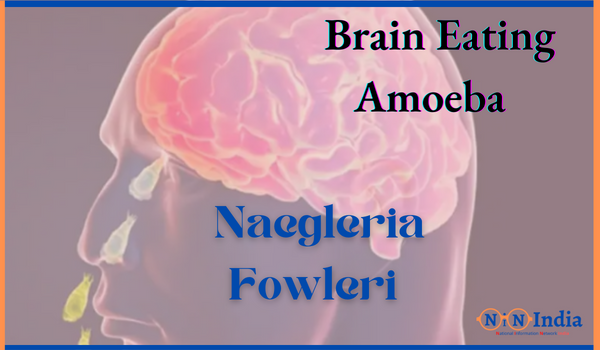 Brain Eating Amoeba