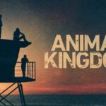 Animal Kingdom Season 7 Release Date, Cast & Plot
